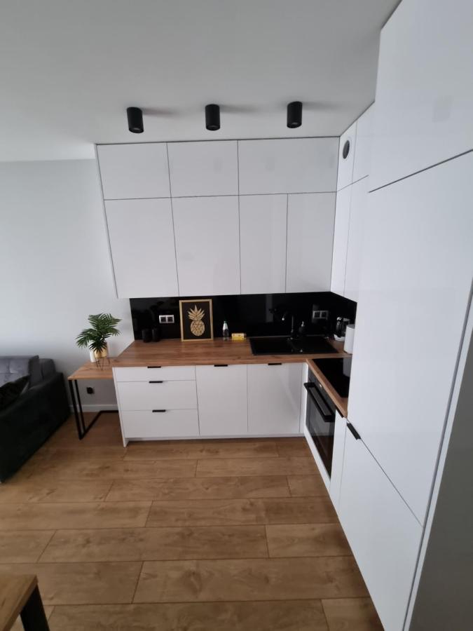 Apartament Ventus Business And Living 46 Kielce Luaran gambar